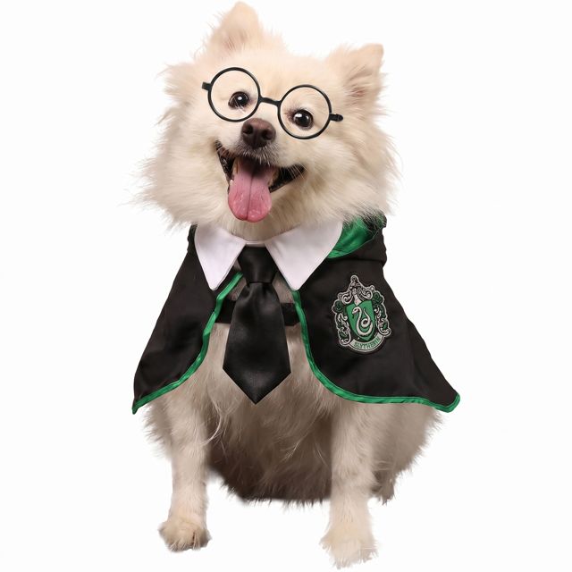 Harry Potter Set