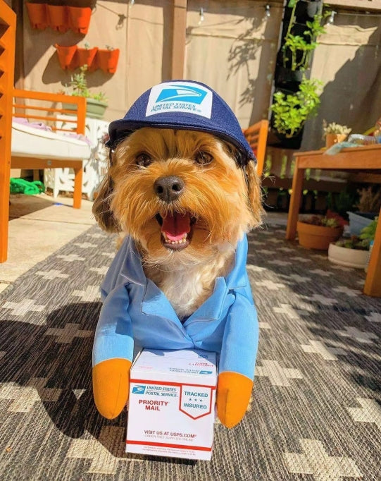 Dog Costumes