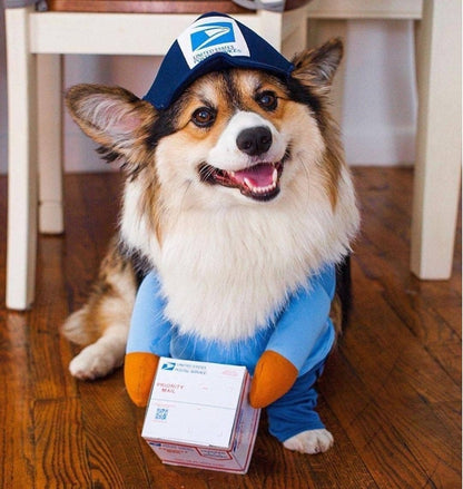 Postdog Set