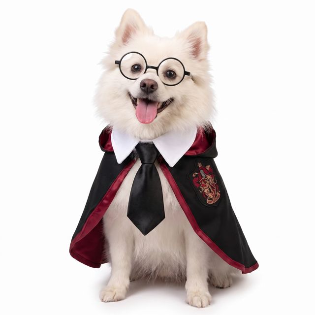 Harry Potter Set