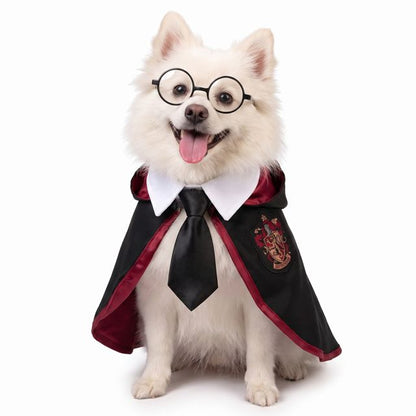 Harry Potter Set